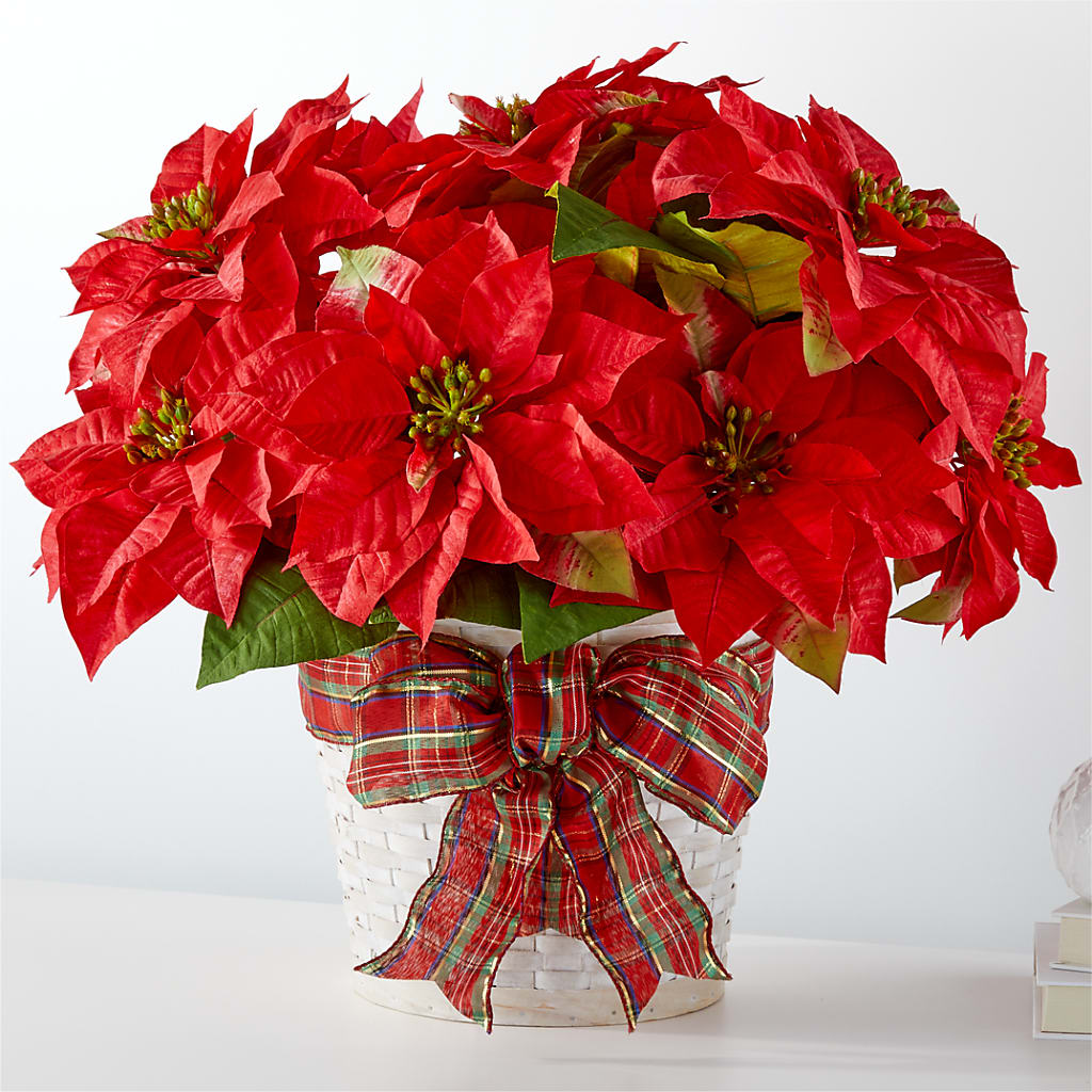 Happiest Holidays Poinsettia – Flowers By Pj Inc, Tuckerton NJ