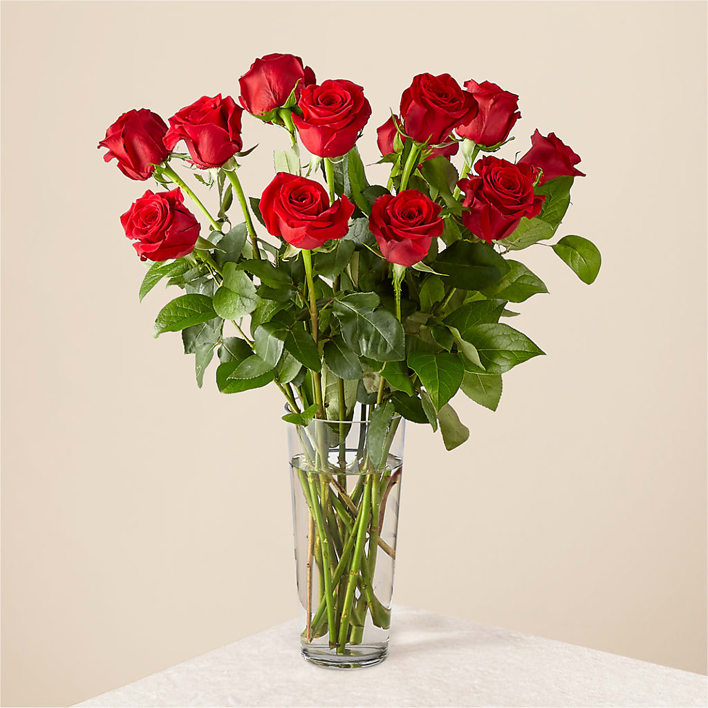 Long Stem Red Rose Bouquet – Flowers By Pj Inc, Tuckerton NJ