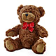 Adorable Plush Bear – Flowers By Pj Inc, Tuckerton NJ