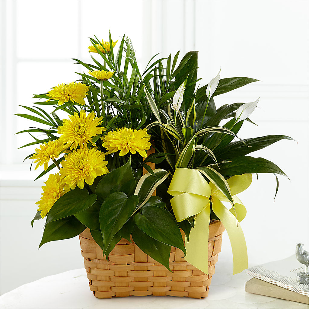 Loving Light Dishgarden – Flowers By Pj Inc, Tuckerton NJ