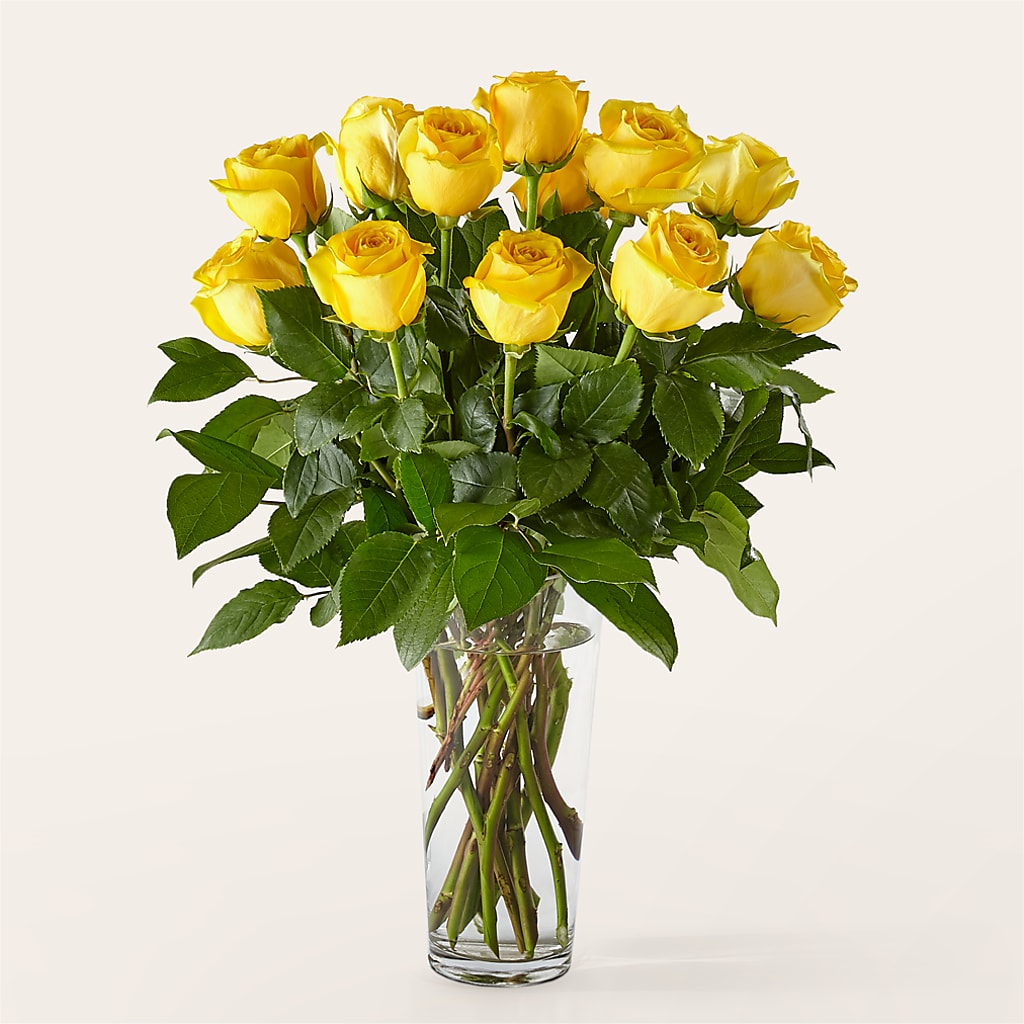 Long Stem Yellow Rose Bouquet – Flowers By Pj Inc, Tuckerton NJ