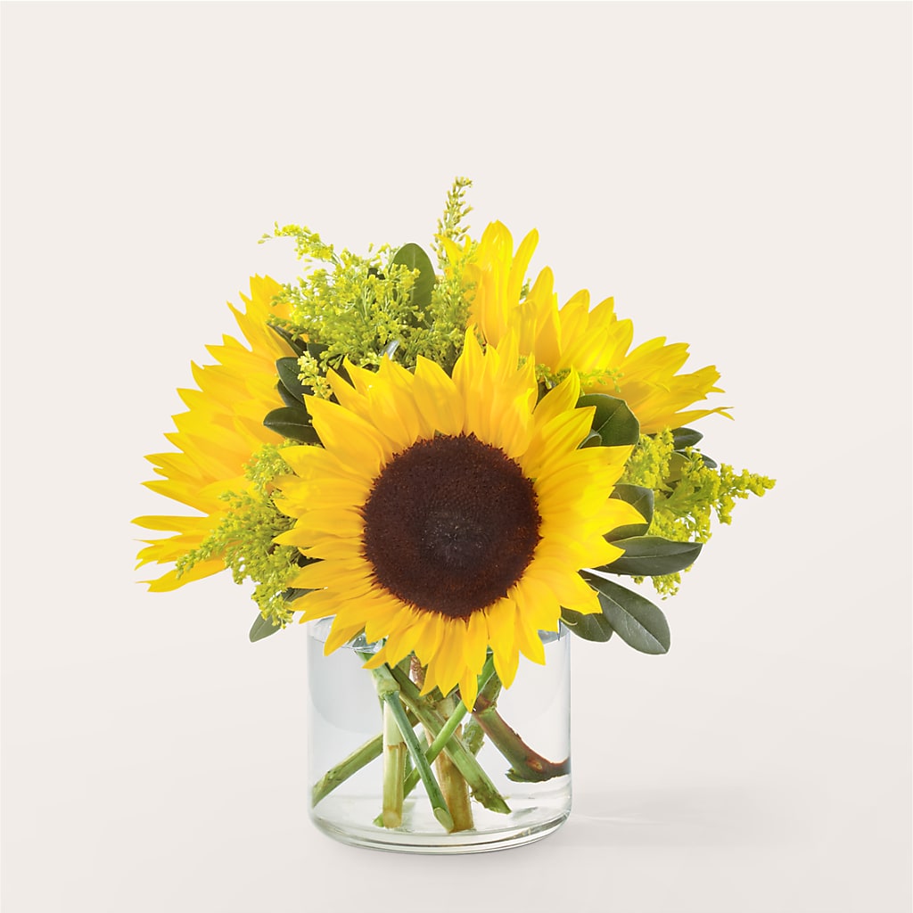 Beaming Sunflower Bouquet – Flowers By Pj Inc, Tuckerton NJ