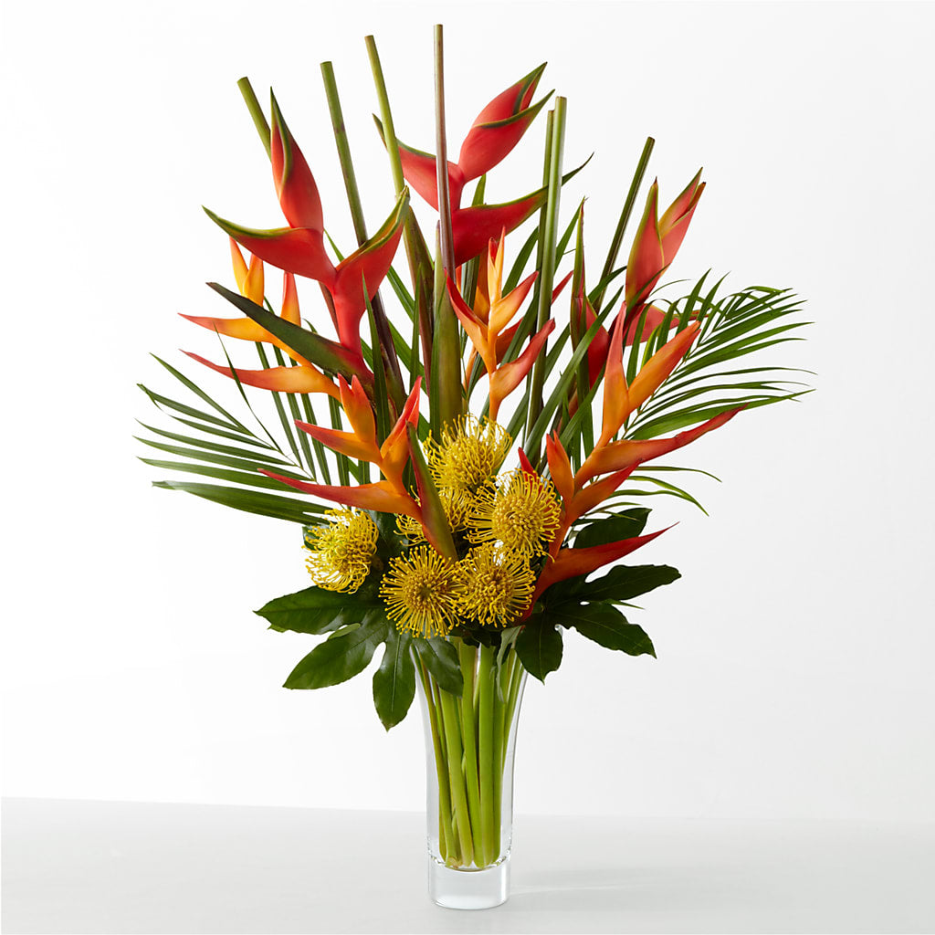 The Drama – Flowers By Pj Inc, Tuckerton NJ