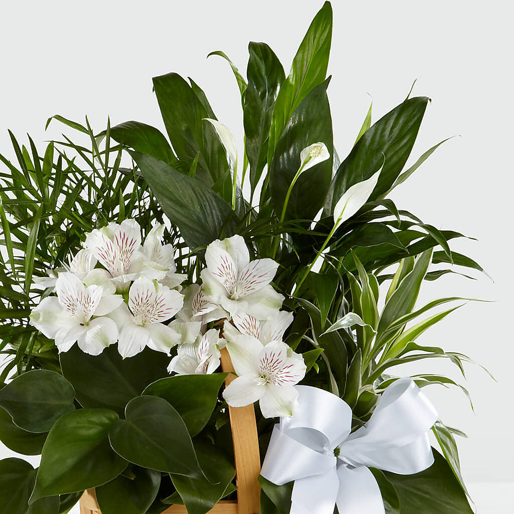 Peace & Serenity Dishgarden –  Flowers By Pj Inc, Tuckerton NJ