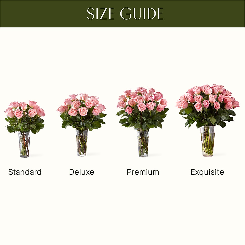 Long Stem Pink Rose Bouquet –  Flowers By Pj Inc, Tuckerton NJ