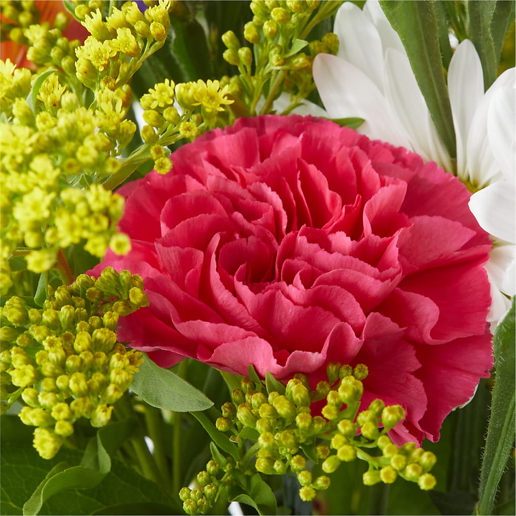 Oopsie Daisy Bouquet –  Flowers By Pj Inc, Tuckerton NJ