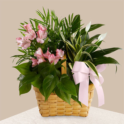 Living Spirit Dishgarden –  Flowers By Pj Inc, Tuckerton NJ