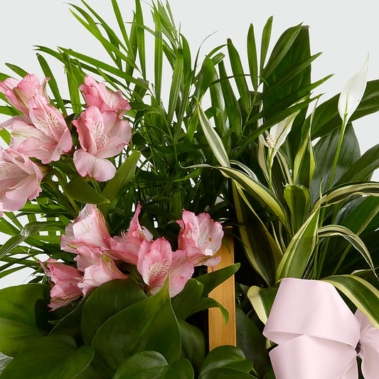 Living Spirit Dishgarden –  Flowers By Pj Inc, Tuckerton NJ