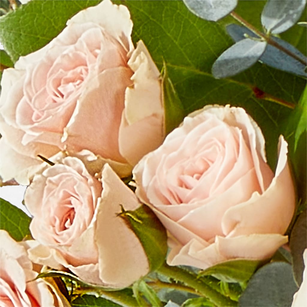 Inspired Bouquet –  Flowers By Pj Inc, Tuckerton NJ