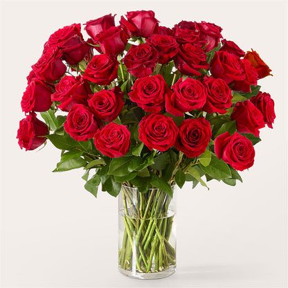 The One Red Rose Bouquet –  Flowers By Pj Inc, Tuckerton NJ