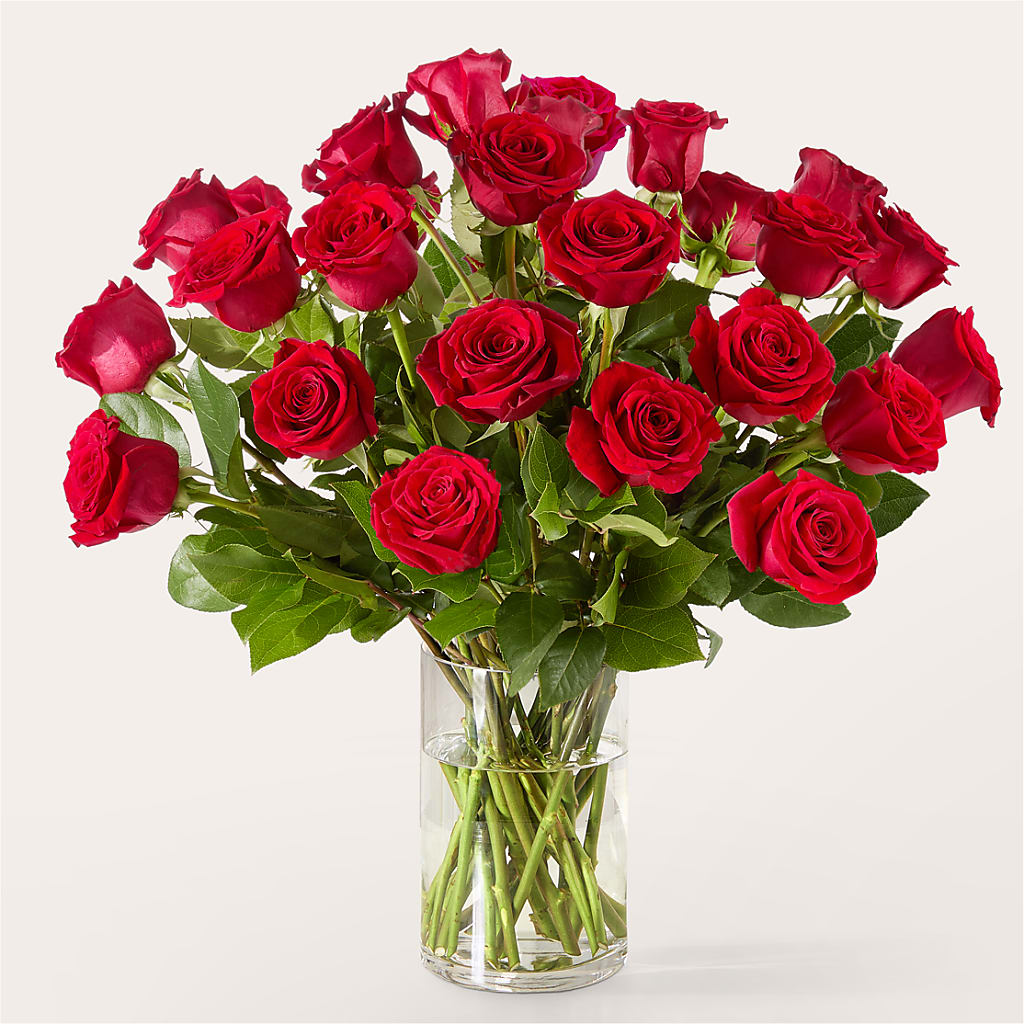 The One Red Rose Bouquet –  Flowers By Pj Inc, Tuckerton NJ